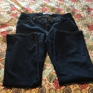 Torrid jeans, boot cut 16T